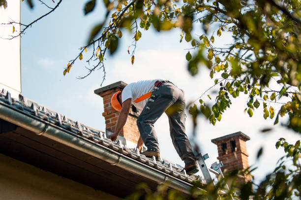 Roof Gutter Cleaning in Bay Springs, MS