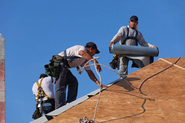 Best Roof Gutter Cleaning  in Bay Springs, MS